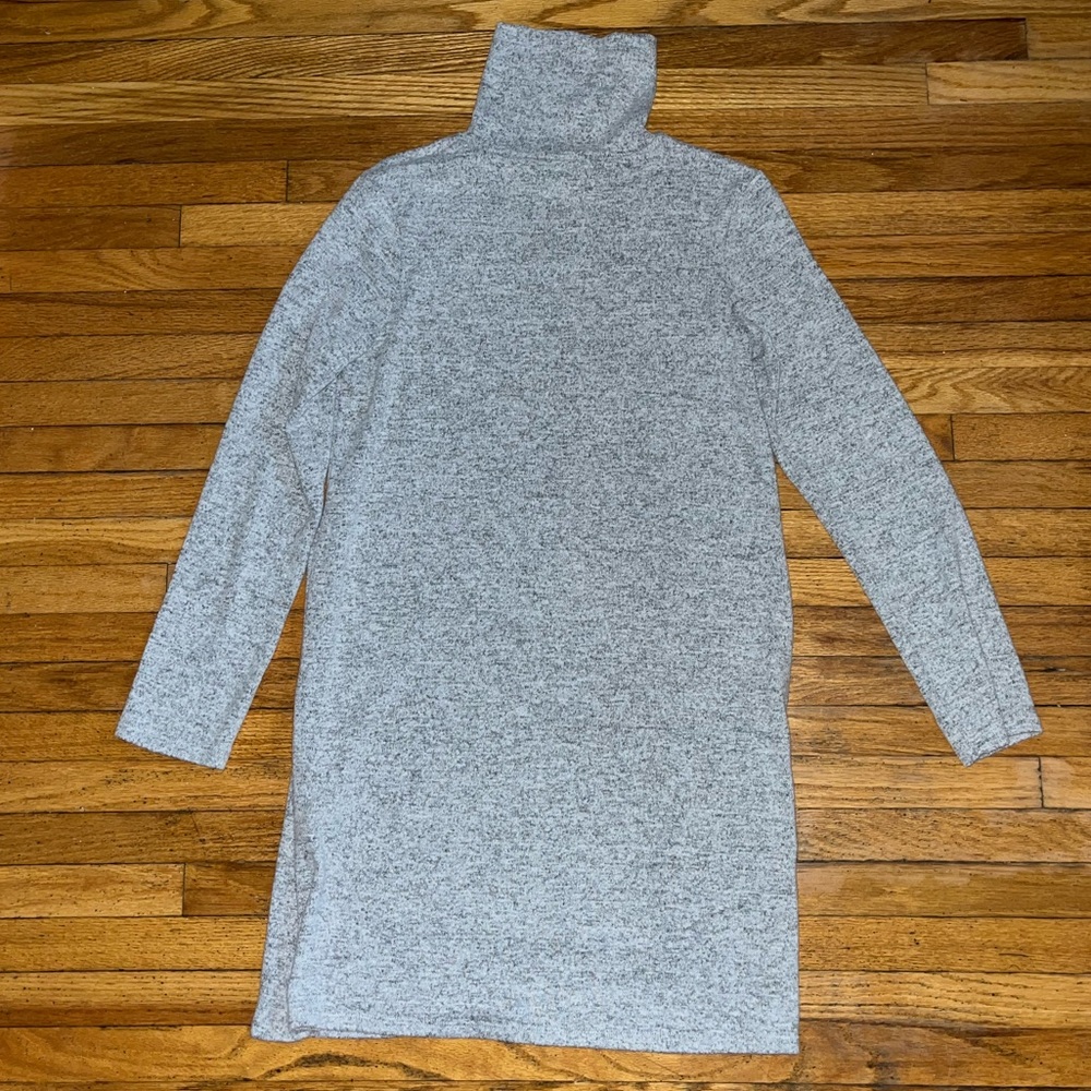 Zara turtle neck dress